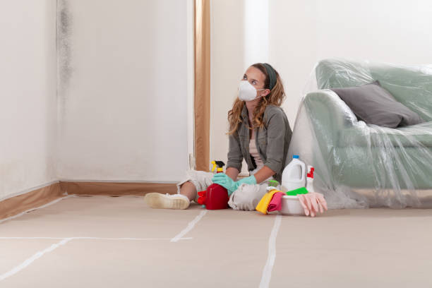 Reliable Mold Remediation contractor in Lumberton, NC by WQB Mold Removal